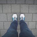 홋카이도부타동스미레