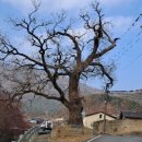 화천1리 경로당 이미지