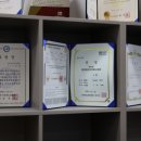 부부 경희대 태권도 이미지