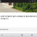 별장도초 이미지