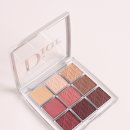 첫 디올 백스테이지 아이 팔레트 004 로즈우즈 뉴트럴 (맥 엑스트라 디멘션도 슬쩍 비교)