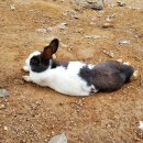 천무유통 이미지