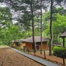 해룡마트 | [포천 천보산자연휴양림] 체크인 눈치싸움 피하는 비법 & 쾌적한 숲캉스 루트