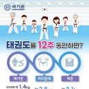 한국체대 수 태권도장 이미지