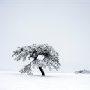 2023년2월5일 (일요일) 남한산성:겨울나기 이미지