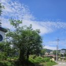 봉곡동312 | 구미 봉곡동 카페 여름 느낌 물씬나는 카페 런던벨