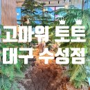대구 수성구|5세 분리수업 60분, 흙을 만지며 음식만드는 &#39;고마워 토토 대구수성점&#39;