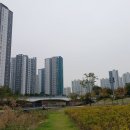 호수공원 이미지