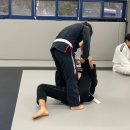 미르 주짓수 유도관 이미지