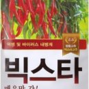 제일육묘장 이미지
