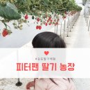 피터펜 농장