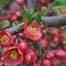 우슬재황토촌 이미지