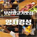 양지경성 이미지