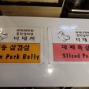 돼지대학교 이미지