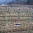 구시농장 이미지