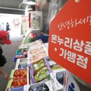 온누리태권도 이미지