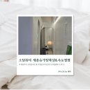 소담뷰티 세종슈가링왁싱&속눈썹펌
