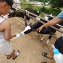 얼룩목장 이미지