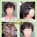 가발박사 이미지