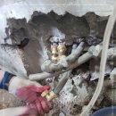 바로크설비 이미지