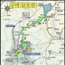 금오카 티스토리