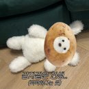 첨단기업로2R(2)-16 | 우당탕탕 2025년의 연말결산(1)📸