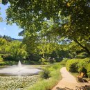 GS25포항지곡 | 포항 포스텍 포항공대 지곡회관 GS25 연못 여름풍경