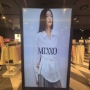 미쏘 봄신상 구경후기 비오는날 쇼핑 기록
