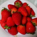 설성농장 이미지