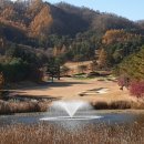 메디칼 밸리 이미지