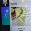 오밤족 세종시청맛집 보람동족발 보람동맛집