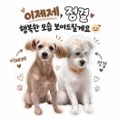 정결과 이제제입니다🐕🤎 이미지