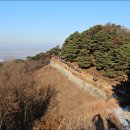 제 170차 청솔 정기 트레킹 ( 청주 "상당산성옛길"+ "미동산수목원 ) 이미지