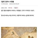 로마 검투사들의 싸움 이미지