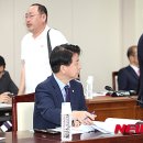 노웅래 카카오 검색결과