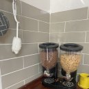 신평동1061 | 210425 경주여행 2일차