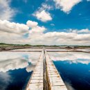 신안 행정사사무소 이미지