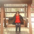 국일성 이미지