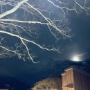 포시즌호스텔 이미지