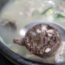 인삼골순대 이미지