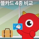 쏠트래블 이미지