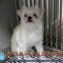 노원-상계-2851 이미지