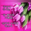 Royal summons 이미지