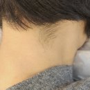 Song & Beauty (송앤뷰티)