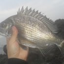 장길리 보릿돌 이미지