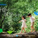 숲 - 아산시 공원로16번길 26-3 | 숲