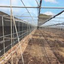 양덕2리 이미지