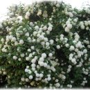 원광병원 이미지