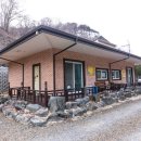 모래 민박 | 자연 속 힐링 여행, 옥천 금모래펜션민박에서의 하루옥천펜션, 옥천군펜션을 찾는다면 이곳!