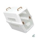 샤인트래블 이미지